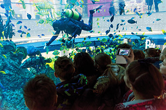 ������� ������