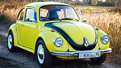 ������� ������