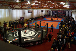 ������� ������