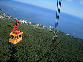 ������ ������