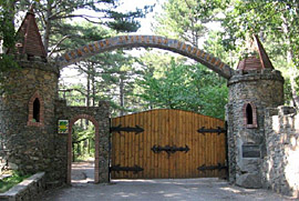 ������ ������